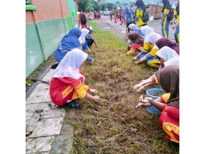 HARI LINGKUNGAN HIDUP